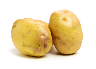 potato isolated on white background