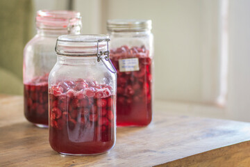 Homemade Vishniac or Visinata liqueur, made of sour Vishnia Cherries. The fruits are being fermented in a glass jar.