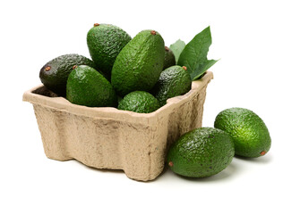 Avocado on a white background