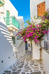 Fototapeta na wymiar Traditional Cycladitic alley with narrow street, whitewashed houses and a blooming bougainvillea flowers in Naousa Paros island, Greece