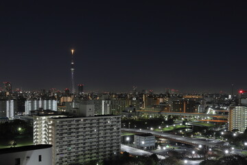 Tokyo sky tree at midnight