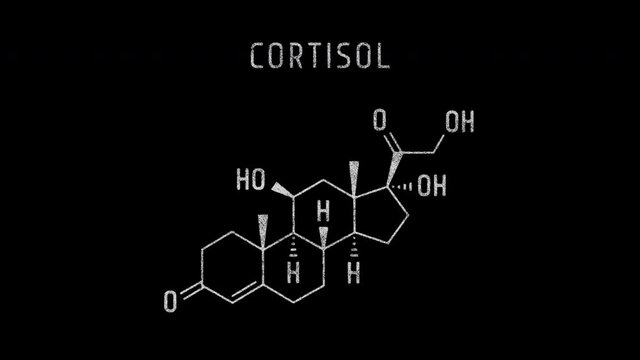 Cortisol Molecular Structure Symbol Sketch or Drawing Animation on black background Green Screen