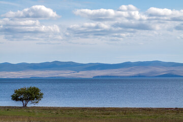 Fototapeta na wymiar A single tree on the shore, lake and mountains
