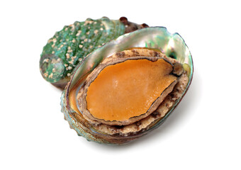 Raw abalones on the white background 