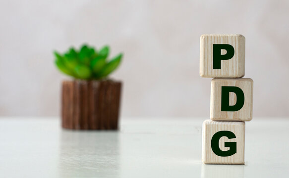 PDG word on wooden cubes on a light background with a cactus