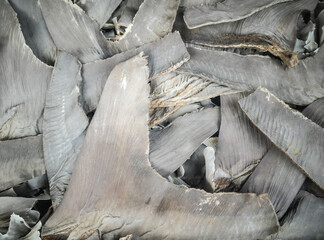 Dried shark fins on sale in a Chinese restaurant. Bangkok, Thailand.