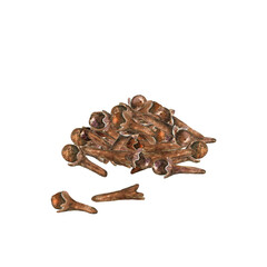 Watercolor dried cloves in pile. Hand drawn aromatic spice isolated on white. Element for cooking, recipe, drink, packaging design. Natural ingredient for seasoning.