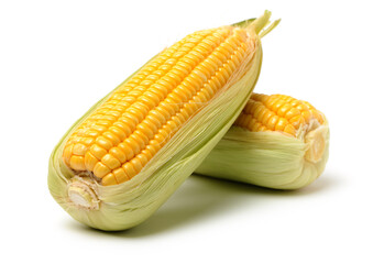 Corn on a white background 
