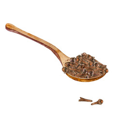 Watercolor wooden spoon with dried cloves. Hand drawn aromatic spice isolated on white. Element for cooking, recipe, drink, packaging design. Natural ingredient for seasoning.