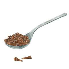 Watercolor sponn with dried cloves. Hand drawn aromatic spice isolated on white. Element for cooking, recipe, drink, packaging design. Natural ingredient for seasoning.