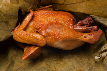 Corn on white background 