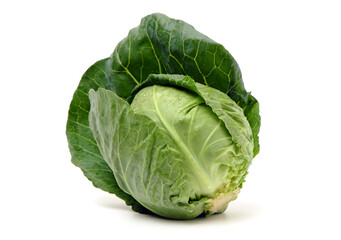 cabbage isolated on white background