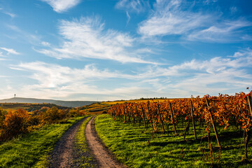 Naklejka premium landscape in autumn