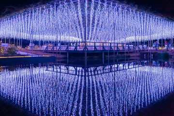 あしかがフラワーパーク　イルミネーション