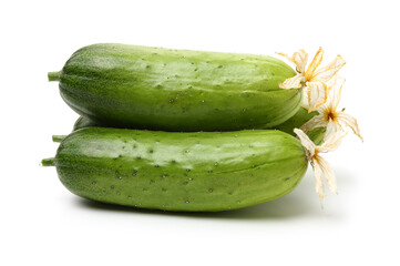 Green cucumber on the white background