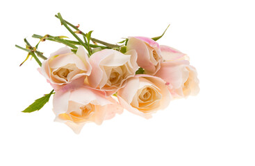 bouquet of small roses isolated