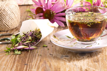 Tea drink with dried Echinacea purpurea is used in folk medicine as an antiviral