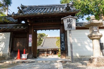 Fototapeta premium 京都 知恩院