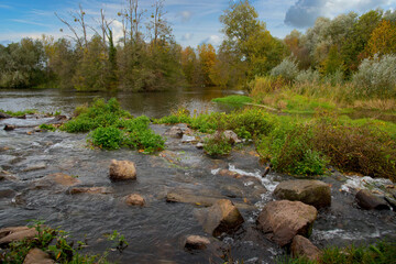 Rheinauen nahe Nonnenweier in der Ortenau