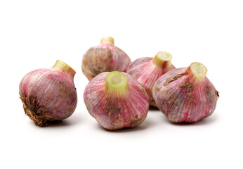 fresh garlic on white background. 