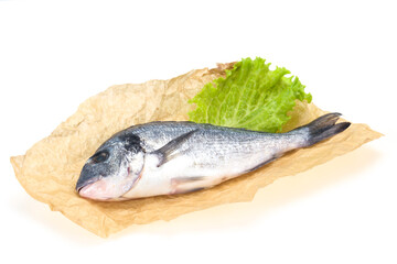 Raw Dorada fish  for cooking