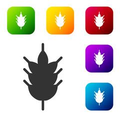 Black Hop icon isolated on white background. Set icons in color square buttons. Vector Illustration.