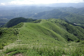 Fototapeta premium 日本の岡山県の蒜山高原の美しい風景
