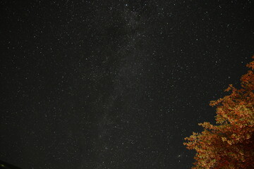 Fototapeta na wymiar 岡山の蒜山高原の美しい星空