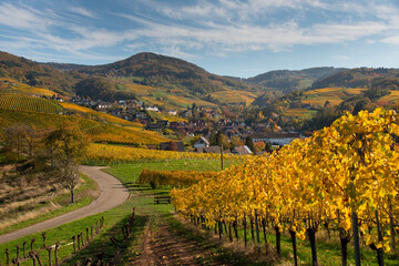 Naklejka premium WEinberge rund um Oberkirch in der herbstlichen Orteanu