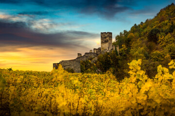 Autumn vineyards under old ruin of Hinterhaus castle in Spitz. Wachau valley. Lower Austria.