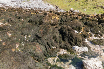 The sources of the Saine from Jura, France