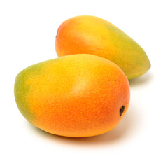 Mango on a white background