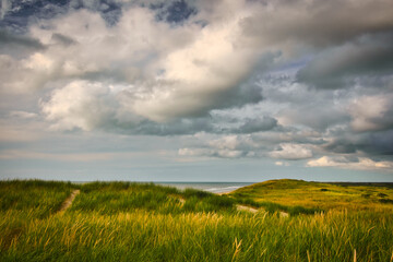 Fototapeta na wymiar dune landscape under cloudy sky