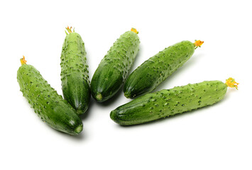 Green cucumber on the white background