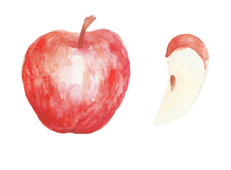 hand drawn watercolor illustration of red apple  with slice and seed isolated on white background
