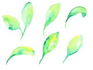 Set of spring bright green leaves. Hand drawn watercolor illustration. Isolated on white background