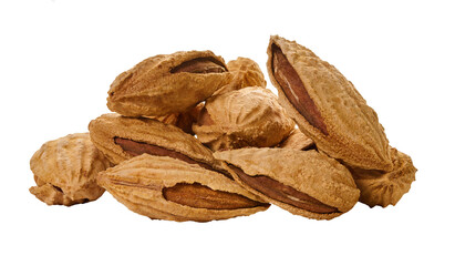 almonds shell with clipping path