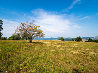 Fototapeta premium Rhönlandschaft am Kreuzberg - der Heilige Berg der Franken - Biosphärenreservat Rhön, Unterfranken, Franken, Bayern, Deutschland