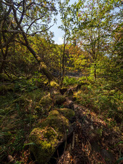 Rhönlandschaft am Kreuzberg - der Heilige Berg der Franken - Biosphärenreservat Rhön, Unterfranken, Franken, Bayern, Deutschland