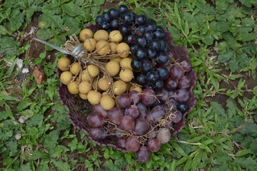 grapes and longans on the green grass