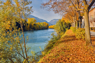 Autumn colors at a corner of the Brenta River in Bassano del Grappa, italy
