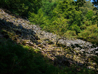 Rhönlandschaft am Kreuzberg - der Heilige Berg der Franken - Biosphärenreservat Rhön, Unterfranken, Franken, Bayern, Deutschland