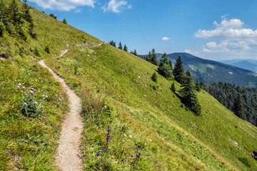 Naklejka premium Meadow scene, Big Fatra mountains, Slovakia