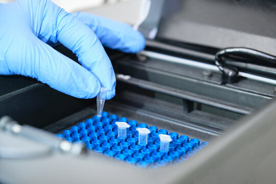 A researcher putting PCR tubes on the thermal cycler for DNA amplification. Coronavirus PCR test.