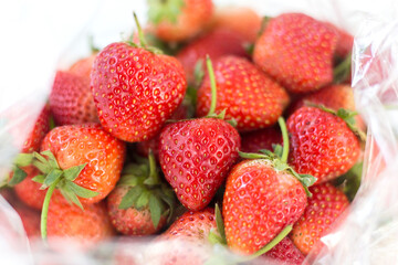 Fresh red strawberry with green stem.