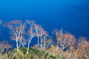 秋の摩周湖　枯れ枝と水面の波の模様（北海道・弟子屈町）