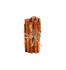 Cinnamon sticks watercolor in a pack tied with linen thread isolated on a white background. Spice.