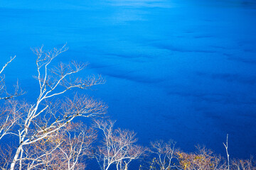 秋の摩周湖　枯れ枝と水面の波の模様（北海道・弟子屈町）