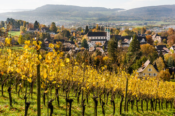 Arlesheim, Dom, Weinberg, Birstal, Birsebene, Dorf, Herbst, Herbstlaub, Baselland, Schweiz