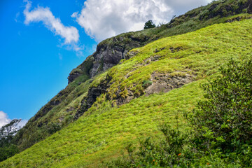 greenery in sri lanka